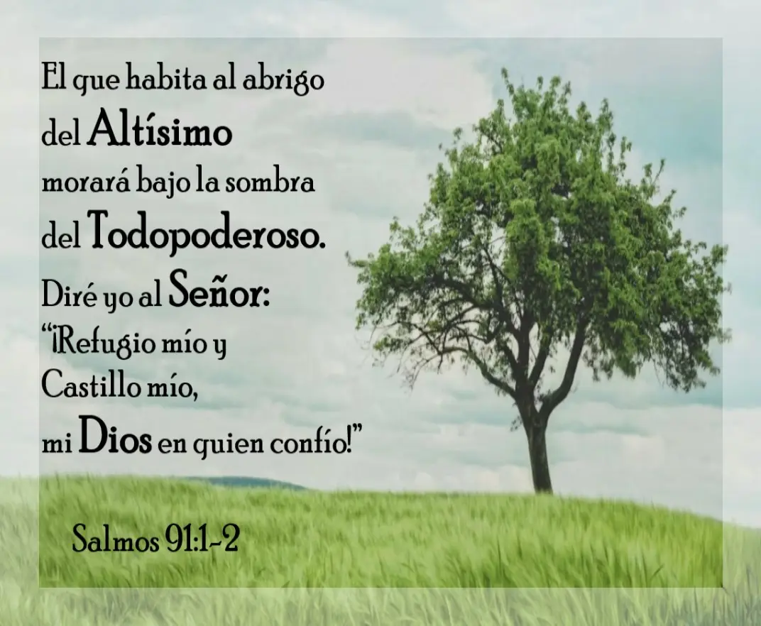 Ctas Biblia Promesas Salmos91