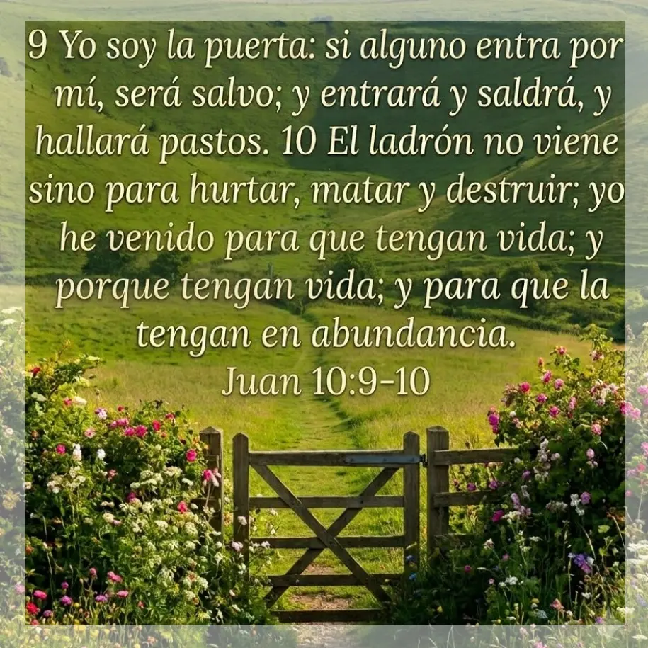 Citas con Mensajes Vida