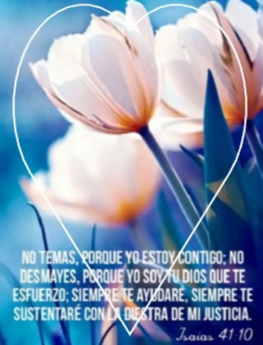 palabras bíblicas de amor fortaleza Palabras Biblicas de Amor Isaias