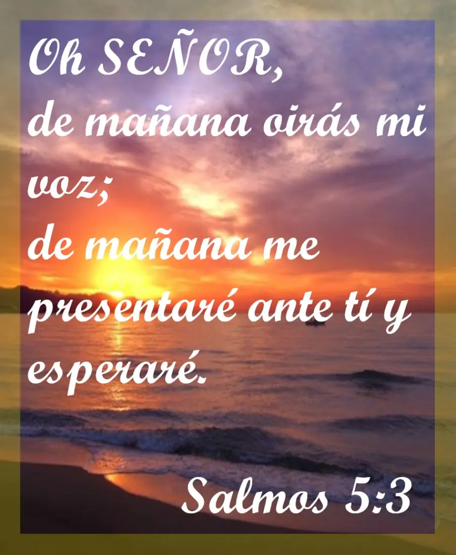 palabras bíblicas de amor verdad Palabras Biblicas de Amor Salmos