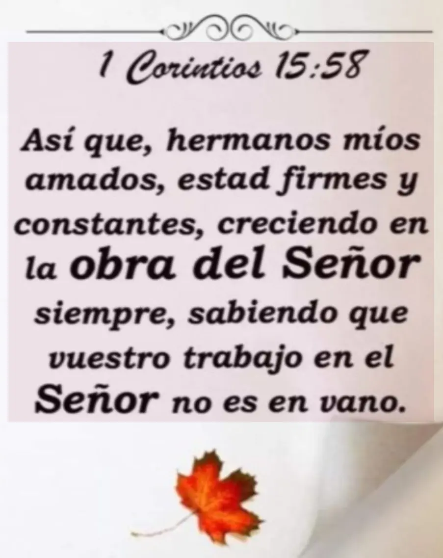 versículos de la biblia hermosos Versiculos de la Biblia Corintios